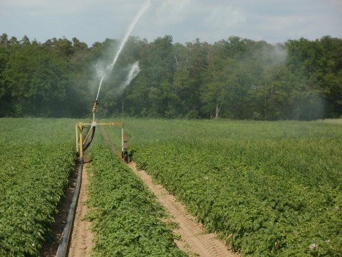 Voor elk een perfecte installatie in de landbouw bij Pul Techniek